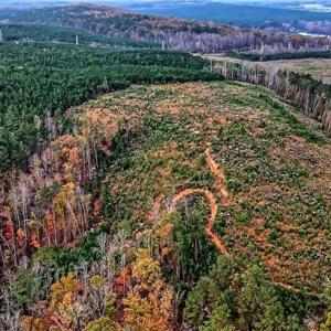 Photo #8 of Stokes Ferry, Richfield, NC 769.3 acres