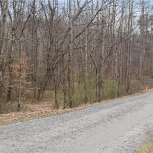 Photo #2 of 8011 Homestead Farm, Belews Creek, NC 2.8 acres