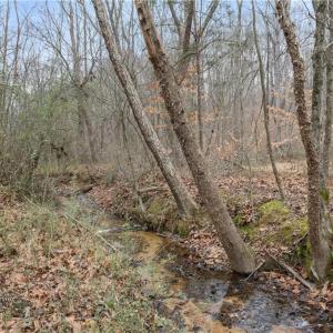 Photo #3 of 8011 Homestead Farm, Belews Creek, NC 2.8 acres