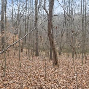 Photo #5 of 8011 Homestead Farm, Belews Creek, NC 2.8 acres