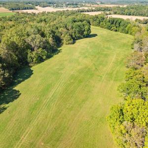 Photo #13 of 8112 Hilltop Farms, Lewisville, NC 2.8 acres
