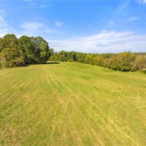 Photo #7 of 8112 Hilltop Farms, Lewisville, NC 2.8 acres