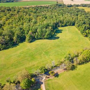 Photo #11 of 8112 Hilltop Farms, Lewisville, NC 2.8 acres