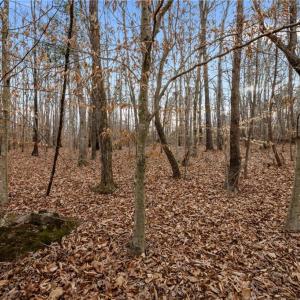 Photo #9 of 10.75 ACRES NEALS STORE, Roxboro, NC 10.8 acres