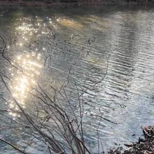 LAKE ACCESS