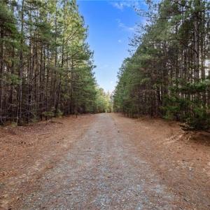 ACCESS DRIVEWAY