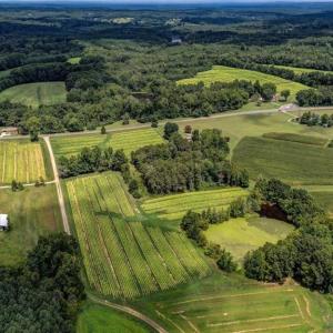 Photo #17 of Ol, Reidsville, NC 13.6 acres