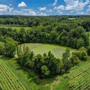 Photo #10 of Ol, Reidsville, NC 13.6 acres