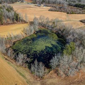 Photo #14 of Ol, Reidsville, NC 13.6 acres