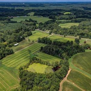 Photo #15 of Ol, Reidsville, NC 13.6 acres