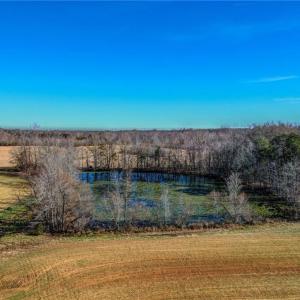 Photo #11 of Ol, Reidsville, NC 13.6 acres