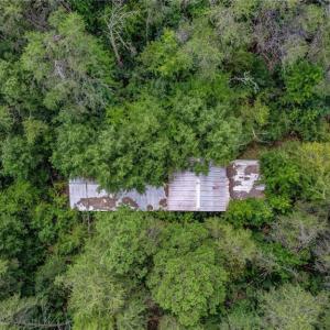 Photo #19 of Ol, Reidsville, NC 13.6 acres