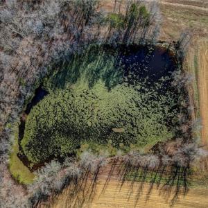 Photo #13 of Ol, Reidsville, NC 13.6 acres