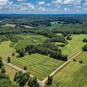 Photo #3 of Ol, Reidsville, NC 13.6 acres