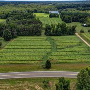 Photo #5 of Ol, Reidsville, NC 13.6 acres