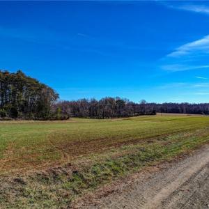 Photo #9 of Ol, Reidsville, NC 13.6 acres