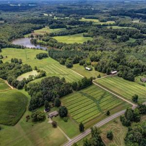 Photo #4 of Ol, Reidsville, NC 13.6 acres