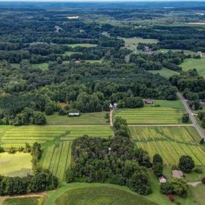 Photo #25 of Ol, Reidsville, NC 13.6 acres