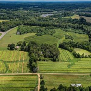 Photo #26 of Ol, Reidsville, NC 13.6 acres