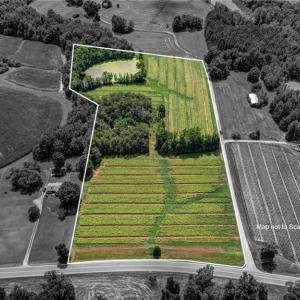 Photo #1 of Ol, Reidsville, NC 13.6 acres
