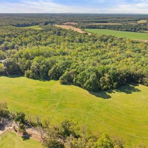 Photo #13 of 8126 Hilltop Farms, Lewisville, NC 5.7 acres