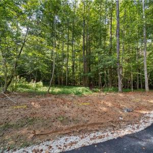 Photo #9 of 8126 Hilltop Farms, Lewisville, NC 5.7 acres