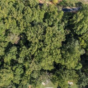 Photo #4 of 8126 Hilltop Farms, Lewisville, NC 5.7 acres