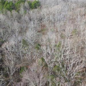 Photo #7 of Old Union Church, Salisbury, NC 22.0 acres