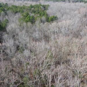 Photo #11 of Old Union Church, Salisbury, NC 22.0 acres