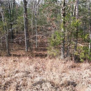 Photo #4 of Old Union Church, Salisbury, NC 22.0 acres