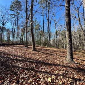 Photo #2 of 188 Starboard Reach, Lexington, NC 1.5 acres