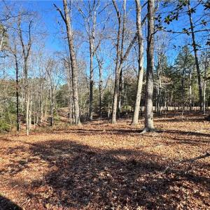 Photo #3 of 188 Starboard Reach, Lexington, NC 1.5 acres