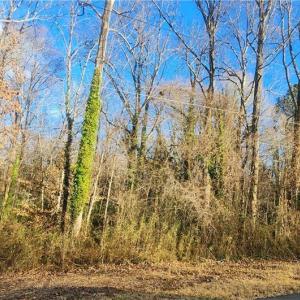 Photo #6 of Linda, Winston-Salem, NC 0.5 acres