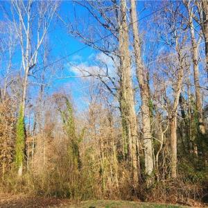 Photo #5 of Linda, Winston-Salem, NC 0.5 acres