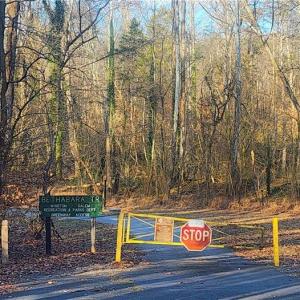 Photo #10 of Linda, Winston-Salem, NC 0.5 acres