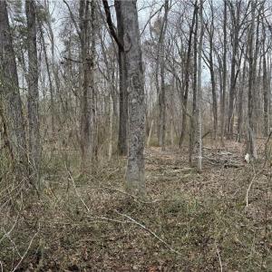 Photo #2 of 205 Burton Farm, Browns Summit, NC 1.7 acres