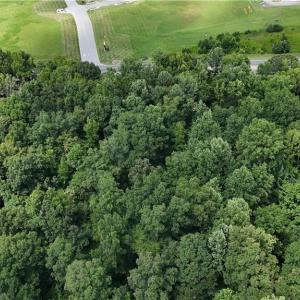 Photo #3 of 1001 US Highway 64, Lexington, NC 4.2 acres