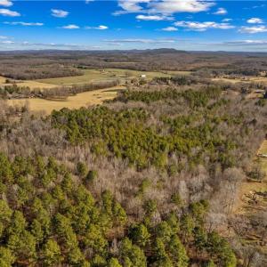 Photo #8 of Morgan, Gold Hill, NC 12.4 acres