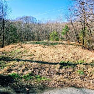 Photo #2 of 7904 Merrick, Greensboro, NC 5.8 acres