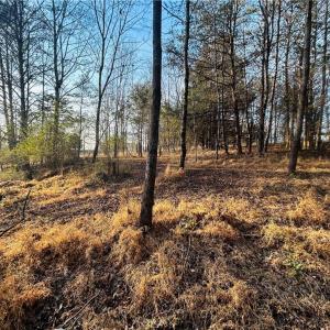 Photo #17 of TBD Asbury, Mount Airy, NC 5.9 acres