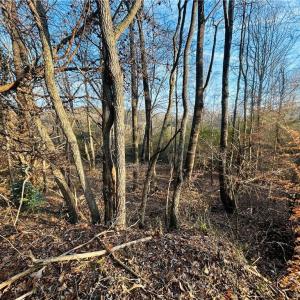 Photo #16 of TBD Asbury, Mount Airy, NC 5.9 acres