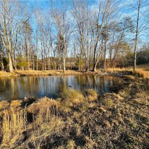 Photo #20 of TBD Asbury, Mount Airy, NC 5.9 acres