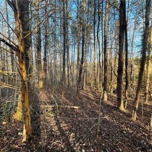 Photo #10 of TBD Asbury, Mount Airy, NC 5.9 acres