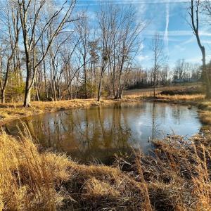 Photo #19 of TBD Asbury, Mount Airy, NC 5.9 acres