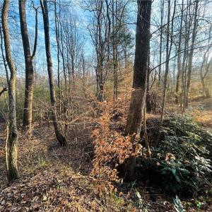 Photo #16 of TBD Asbury, Mount Airy, NC 5.9 acres