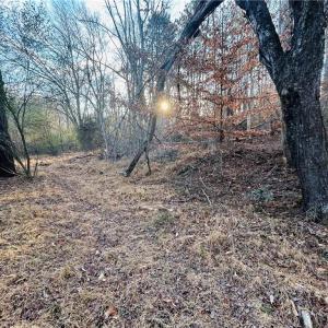 Photo #12 of TBD Asbury, Mount Airy, NC 5.9 acres