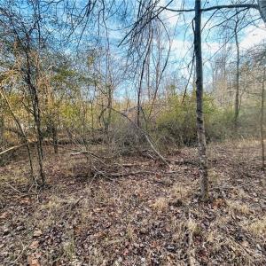 Photo #5 of TBD Asbury, Mount Airy, NC 5.9 acres