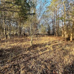Photo #10 of TBD Asbury, Mount Airy, NC 5.9 acres