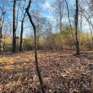 Photo #15 of TBD Asbury, Mount Airy, NC 5.9 acres