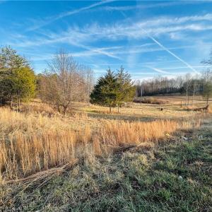Photo #8 of TBD Asbury, Mount Airy, NC 5.9 acres